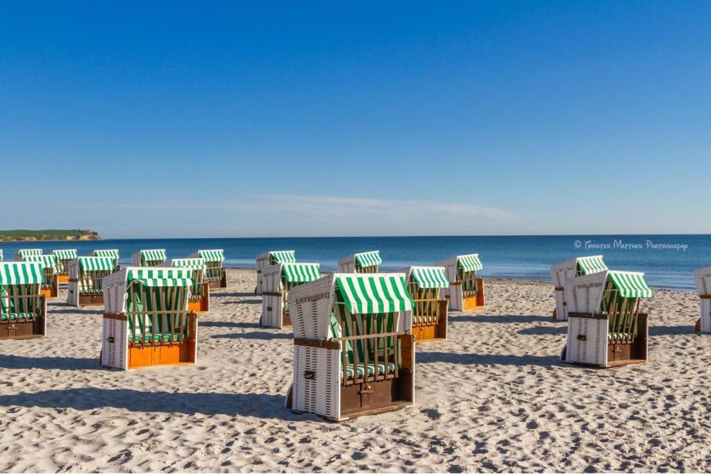 Ferienwohnung Seestern Fuer 6 Personen Mit Kamin & Terrasse Больтенхаген Экстерьер фото
